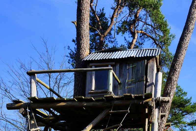 Treehouse
